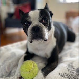 Did you say “offer”????